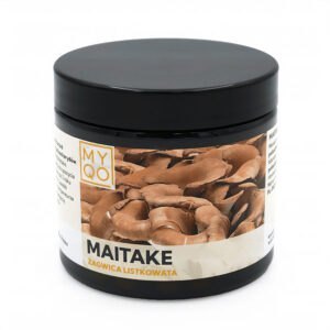 Grzyby funkcjonalne z ekstraktu Maitake (Żagwica listkowata) 90 kaps. MYQO NaszeNaturalne Grzyby Funkcjonalne Z Ekstraktu Maitake Żagwica Listkowata 1