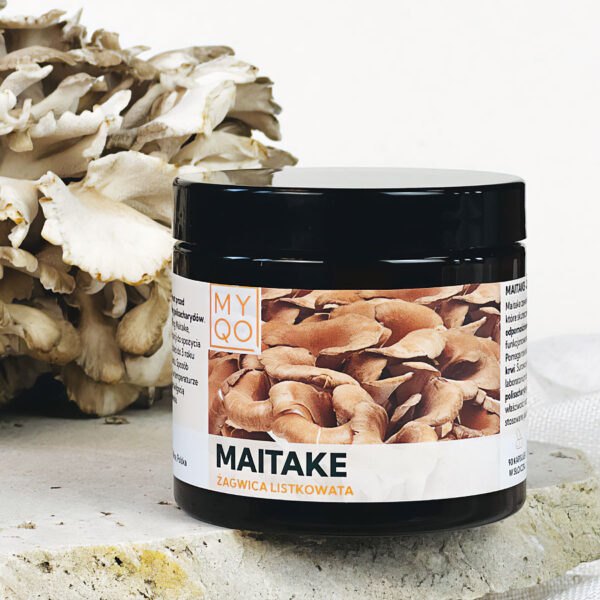 Grzyby funkcjonalne z ekstraktu Maitake (Żagwica listkowata) 90 kaps. MYQO NaszeNaturalne Grzyby Funkcjonalne Z Ekstraktu Maitake Żagwica Listkowata